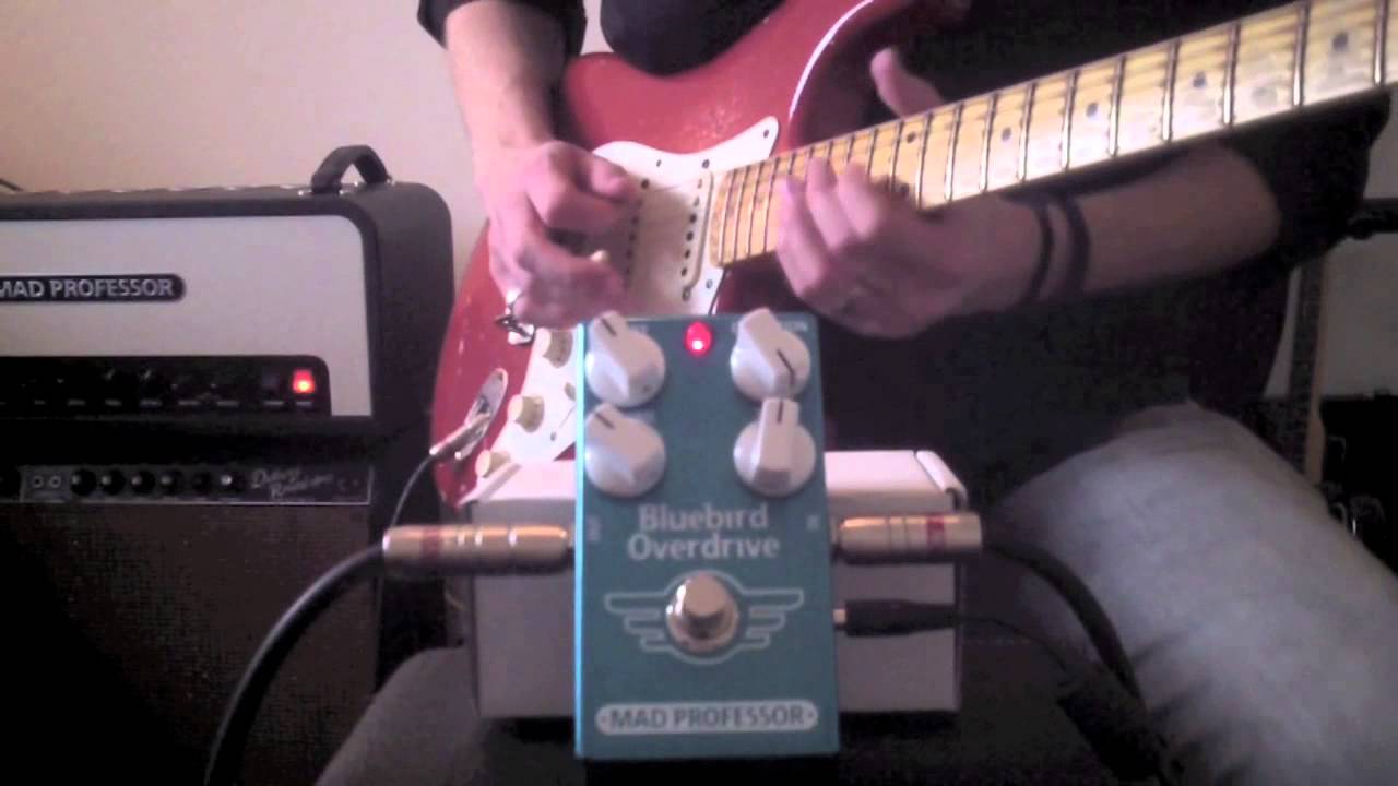 MAD PROFESSOR ( マッドプロフェッサー ) Bluebird Ovedrive Delay