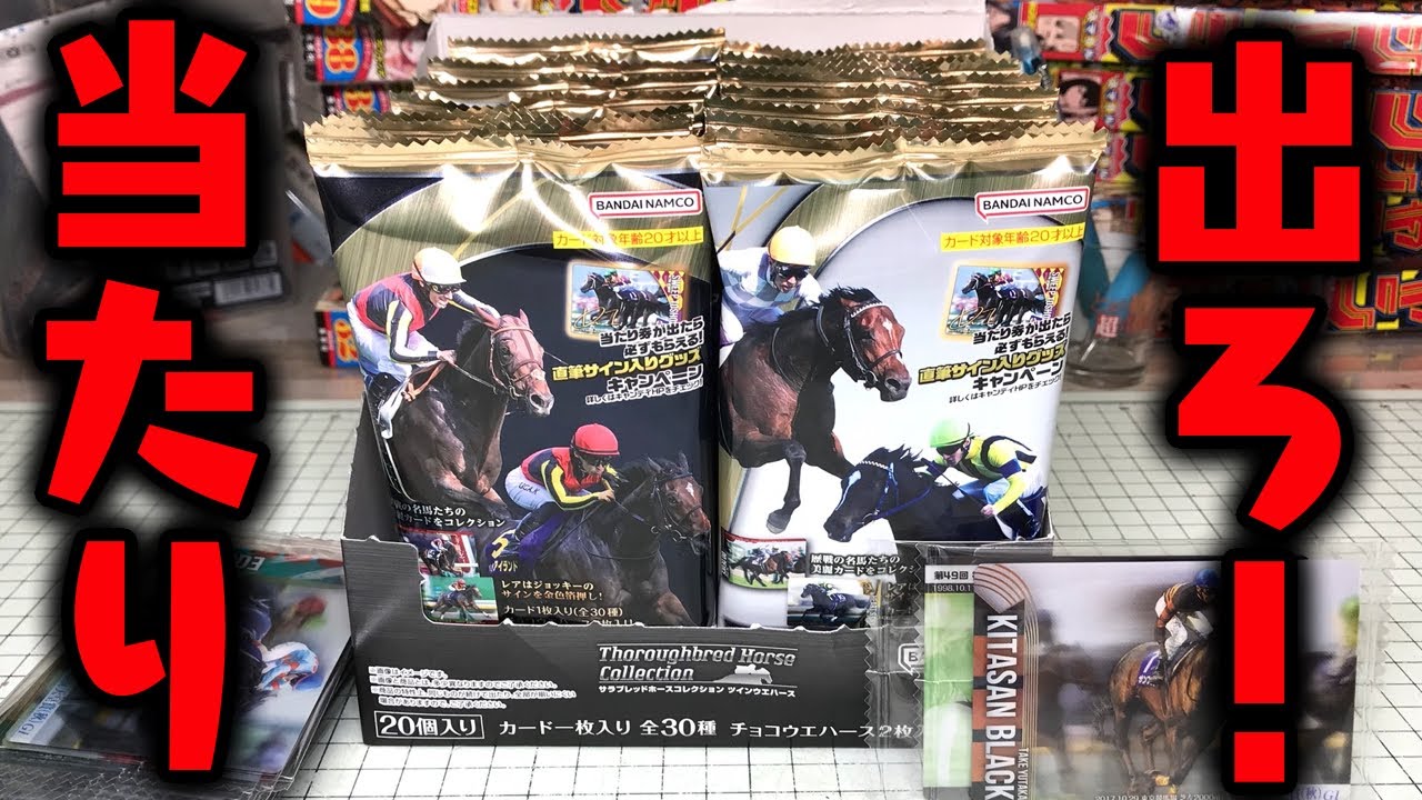 出ろ当たり券！騎手の直筆サインをねらえ！ サラブレッドホース