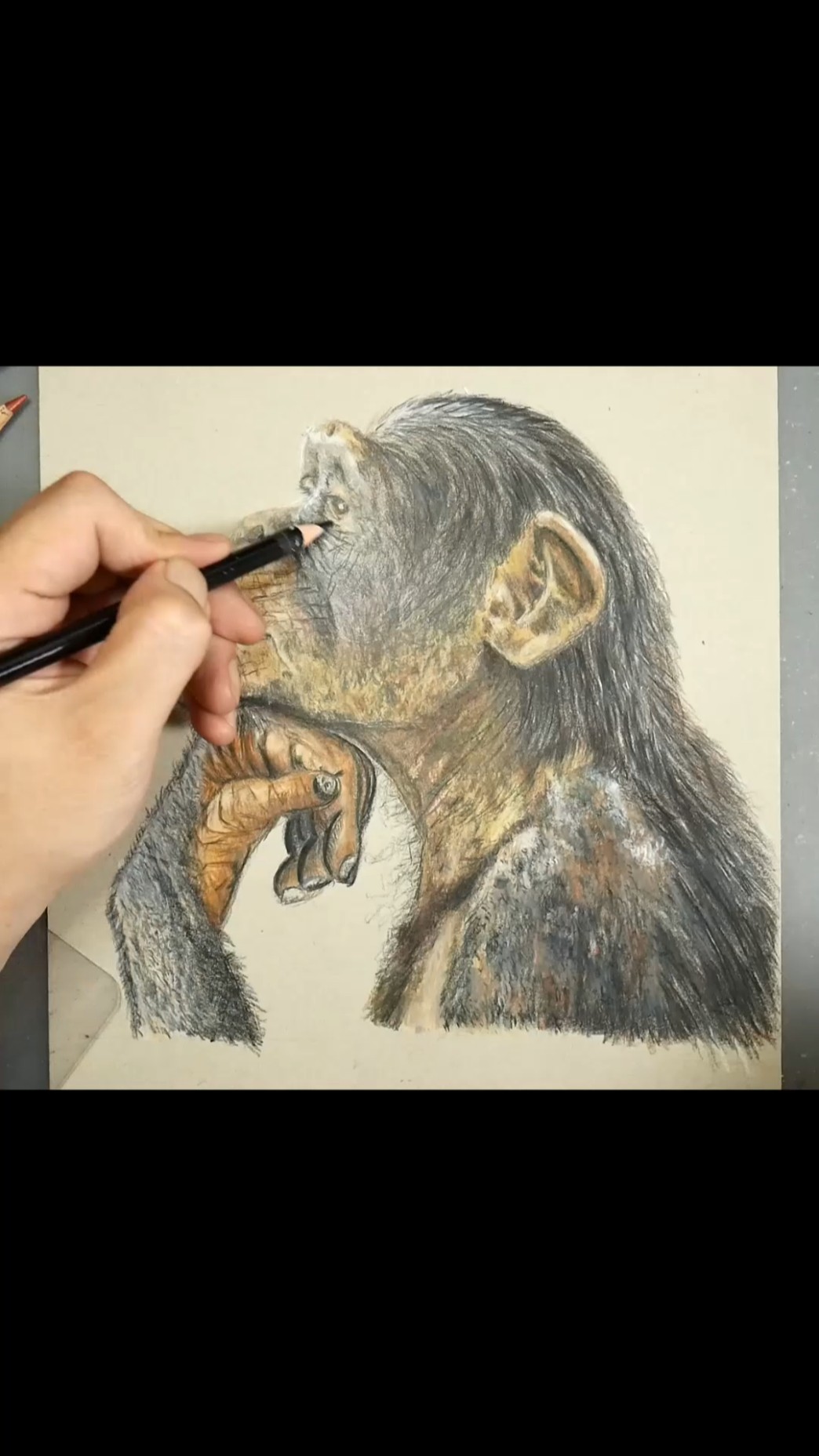 考えるチンパンジーを描いた #asmr #イラスト #shorts - YouTube