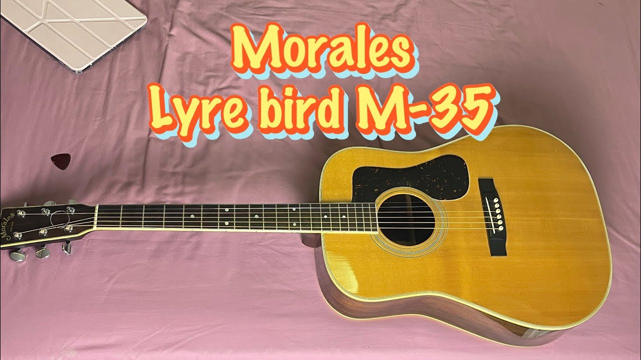 Morales LYRE BIRD M 18 - YouTube