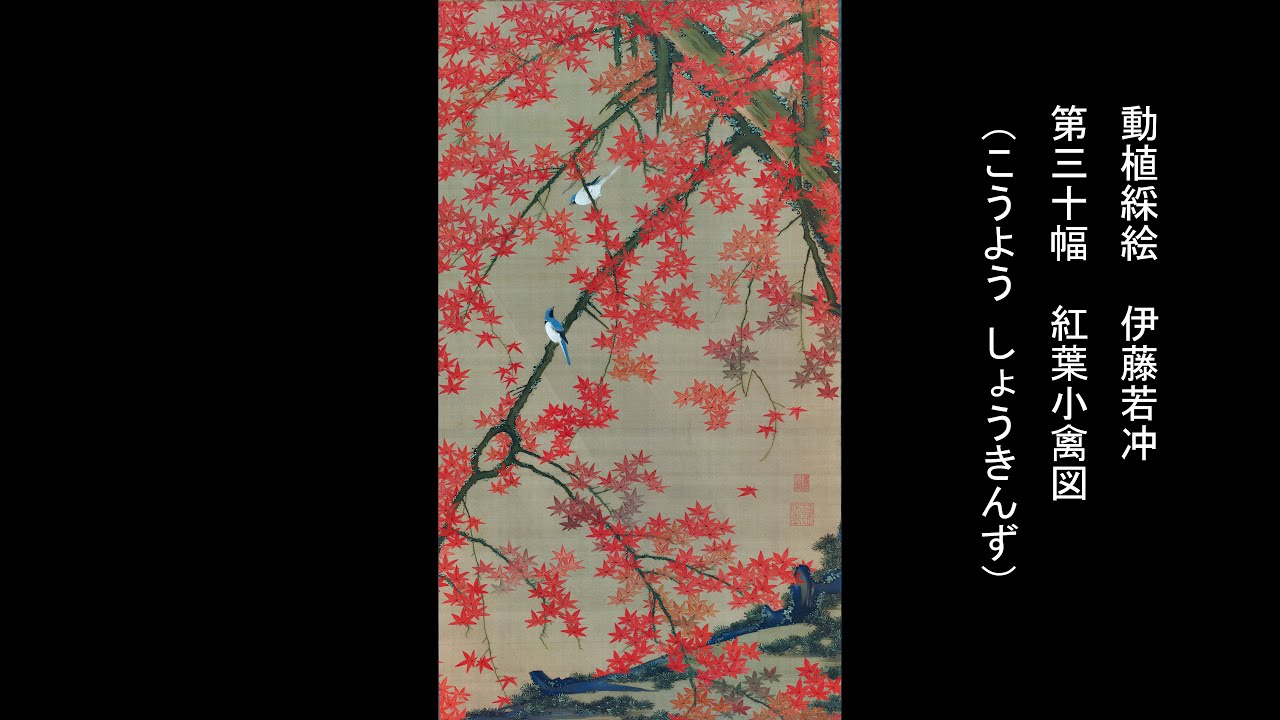 動植綵絵 伊藤若冲 「第三十幅 紅葉小禽図（こうよう しょうきんず