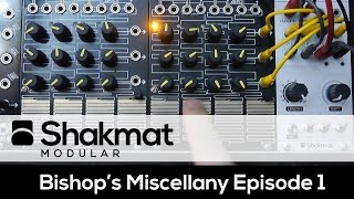 Shakmat White Gallop - Eurorack Module on ModularGrid