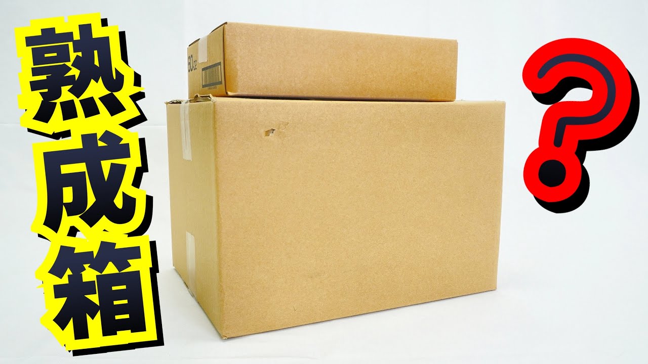 5〜6年熟成させた未開封箱を開けてみた。☆エロいもの出たら即BANかも