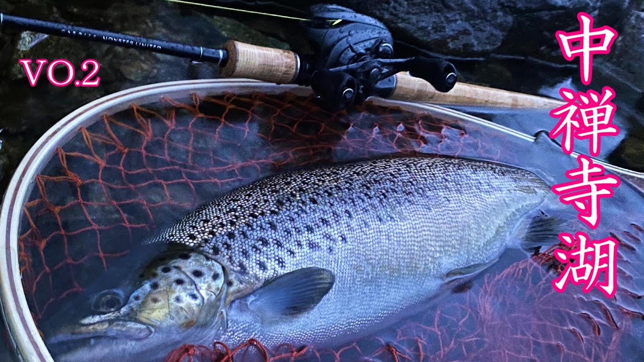 2023 奥日光 中禅寺湖 良型ブラウントラウト - YouTube