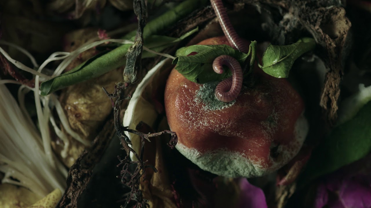 レ フルール デュ デシェ — アイ アム トラッシュ｜ゴミの花 – NOSE SHOP