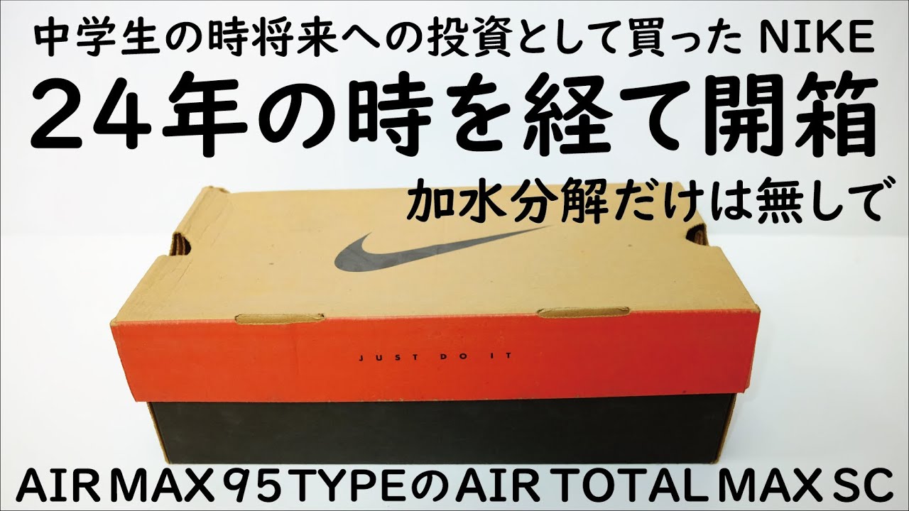 I opened the box of my Nike Air Max 95 shoes, purchased 24 years