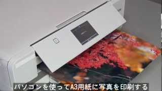 よくある質問(FAQ)｜エプソン | 【動画】パソコンから手差し給紙を使っ