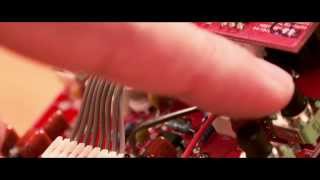 WAY HUGE® PORK LOIN™ OVERDRIVE | WHE201 | モリダイラ楽器