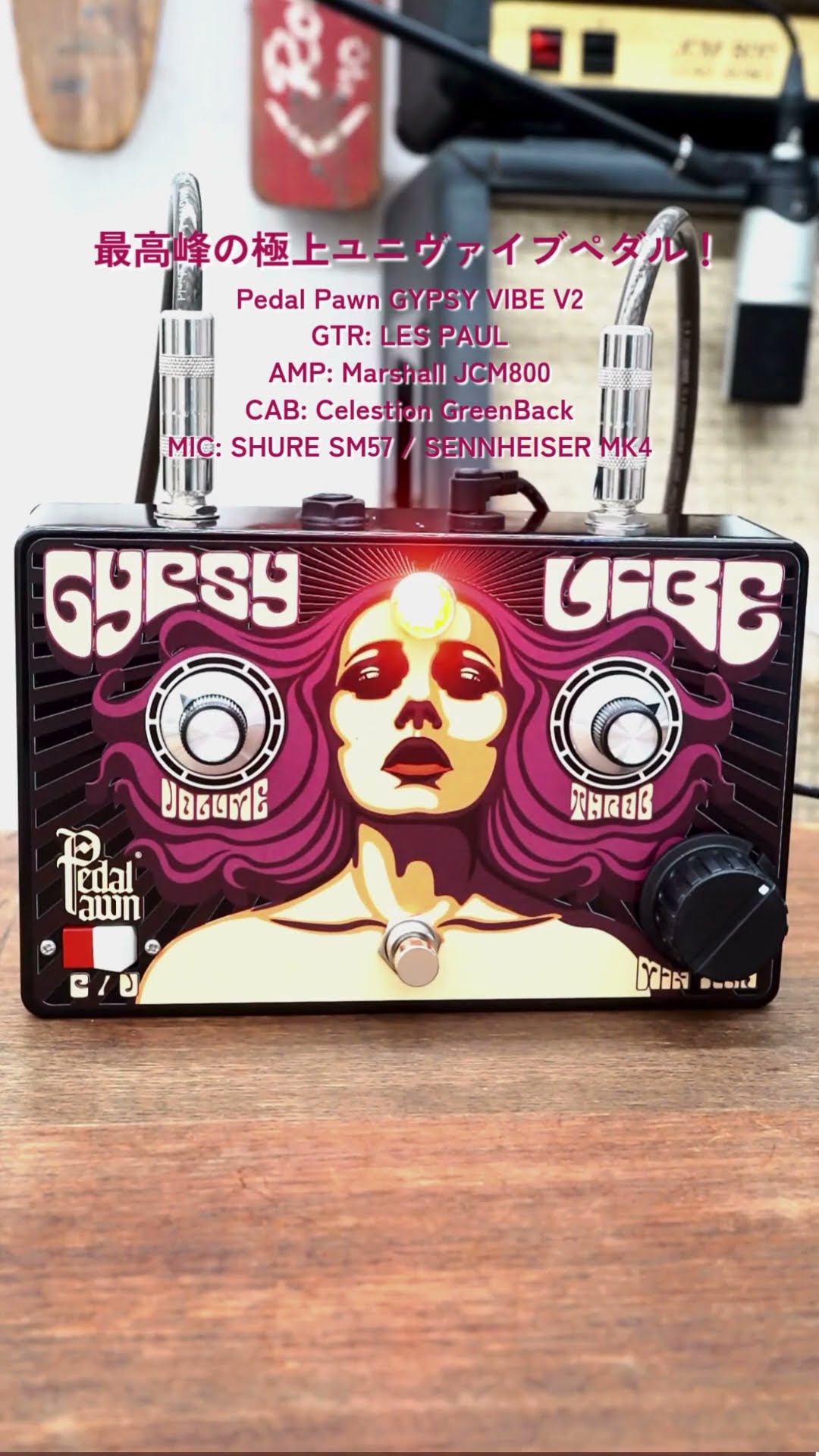 最高峰の極上ユニヴァイブペダル！Pedal Pawn GYPSY VIBE V2
