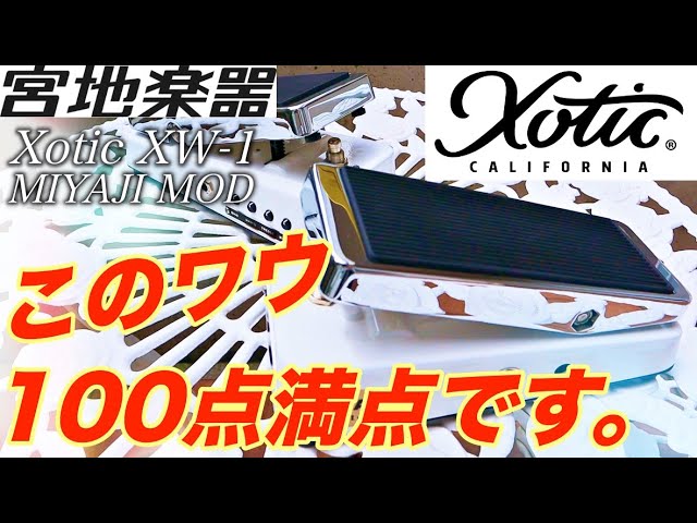 King Gnuの常田大希も愛用するxoticの多機能ワウ、XW-1をレビュー