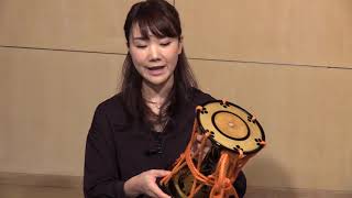 意外と知らない？歌舞伎に使われる和楽器達を紹介！！ | 和楽器メディア