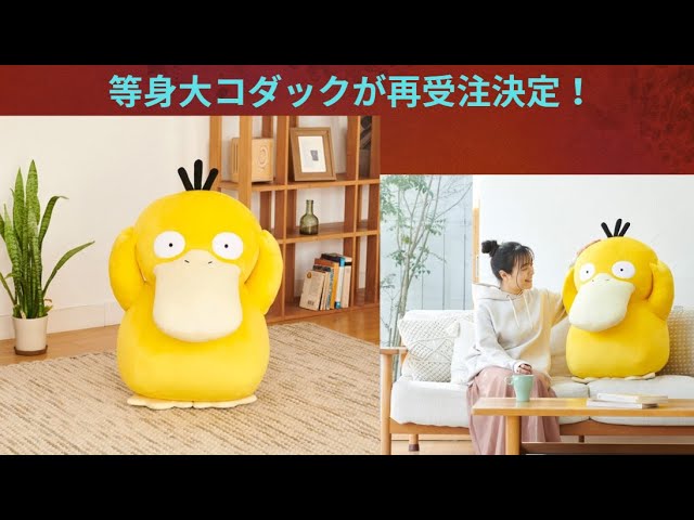 ぬいぐるみ 等身大コダックの再受注について紹介！【ポケモン】 - YouTube