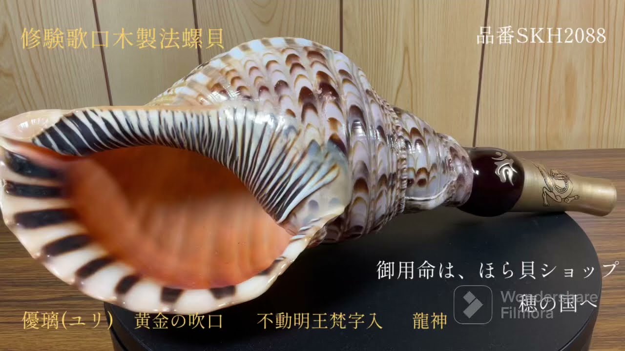 法螺貝（ほら貝）販売のお店