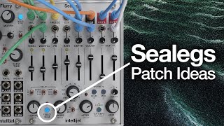 Intellijel Sealegs Multimode Stereo Delay Eurorack Module | Sweetwater