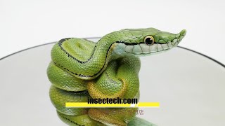 動物の惑星】バロンコダマヘビ フィギュア : インセクテック動物の惑星