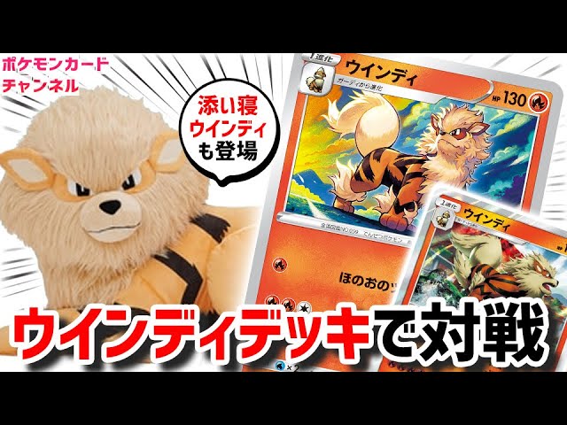 生放送】添い寝ウインディがポケカチャンネルにやってきた！ウインディ