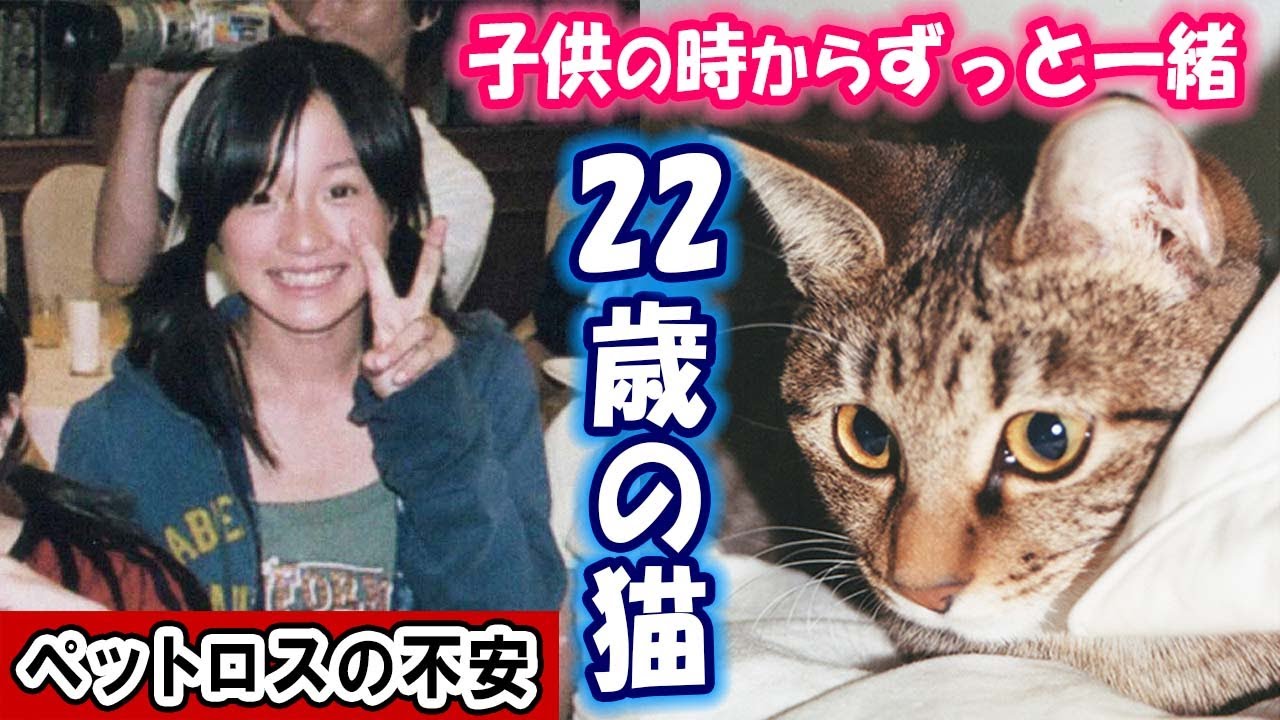 好き好き」されたサンシャイン池崎は…インスタグラム340万回再生