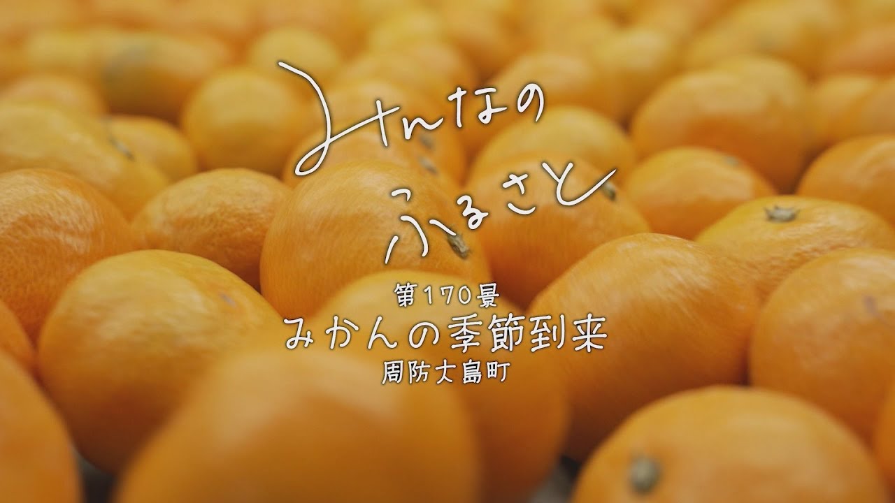 みんなのふるさとVOL170 みかんの季節（周防大島） - YouTube