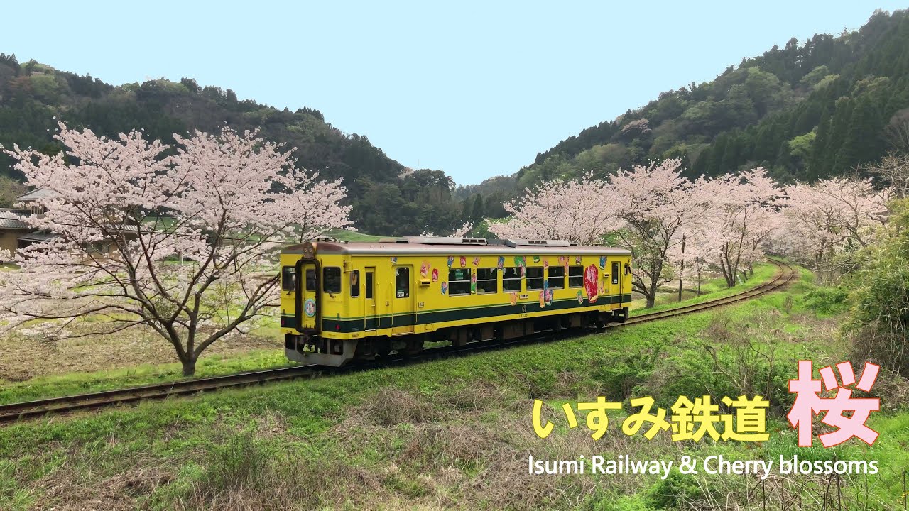 桜の季節 春のいすみ鉄道 （千葉県大多喜町・いすみ市）2021年3月30日