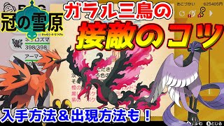 ポケモン剣盾】ガラル三鳥！サンダー・ファイヤー・フリーザーの接敵の