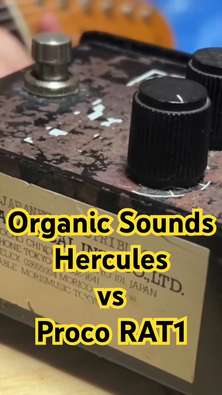 Organic Sounds HerculesとProco RAT1のサウンドを比較してみた