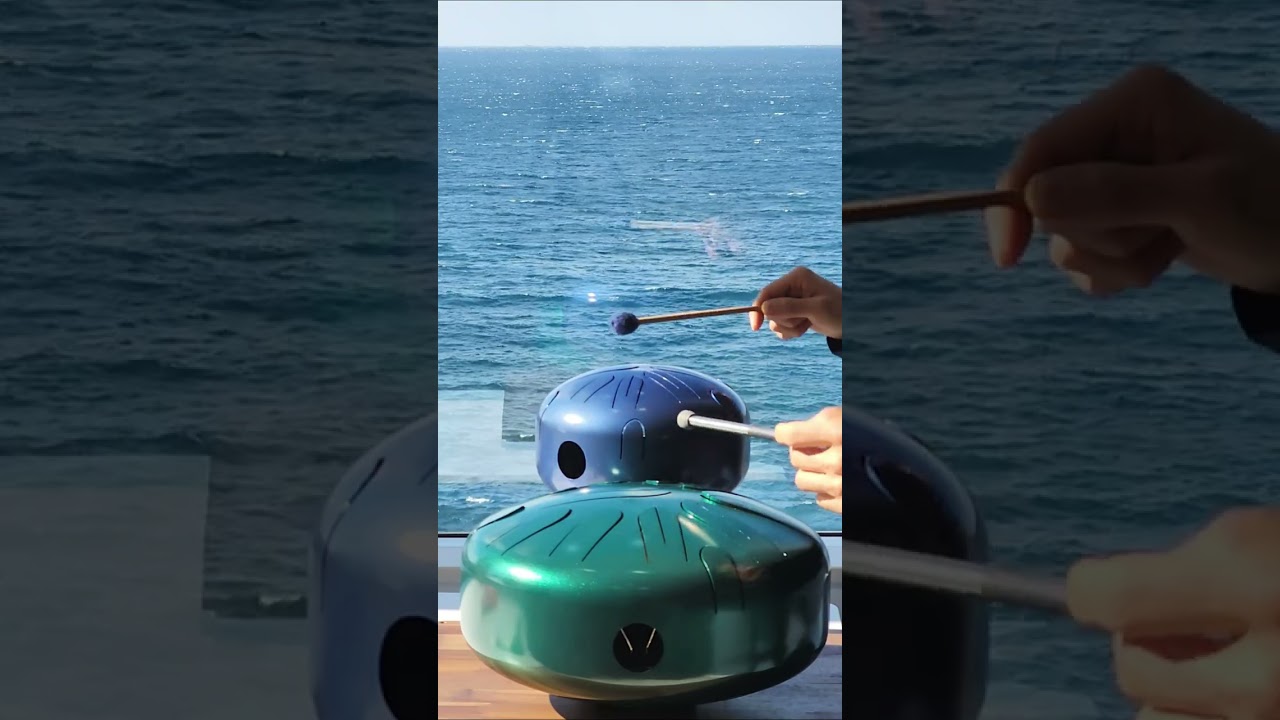 新しい家でさざなみドラム(小型・伴奏用・440hz)を演奏。 タングドラム