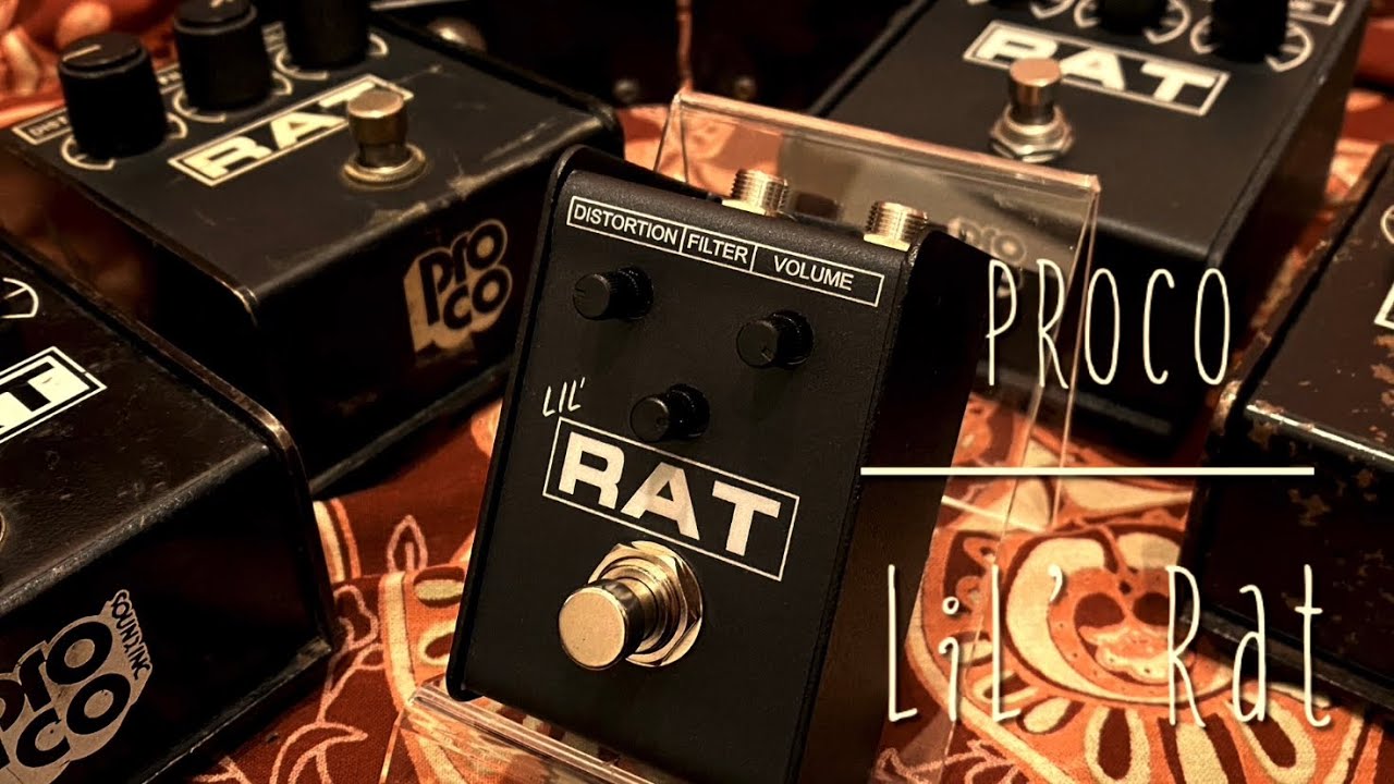ProCo LIL' RAT - YouTube