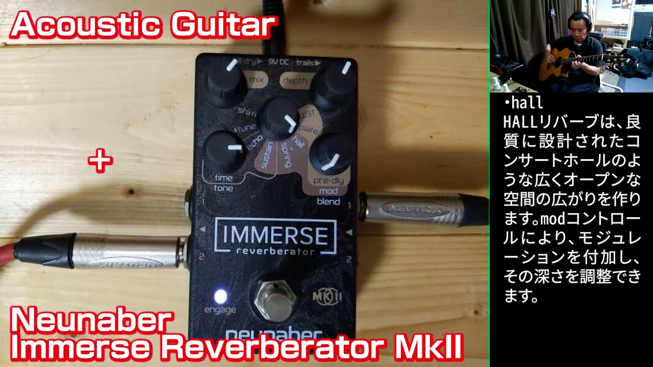 エフェクター】Neunaber Immerse Reverberator MkII+Acoustic Guitar