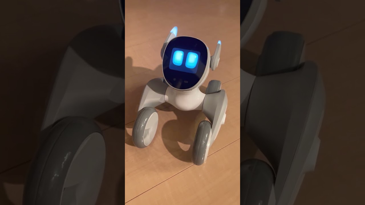 ペットロボット「Loona(ルーナ)」〜ChatGPTアプレットで会話ができる