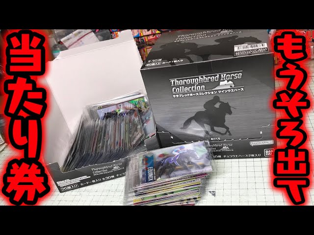 Aim for the winning ticket in an unopened box! Thoroughbred Horse