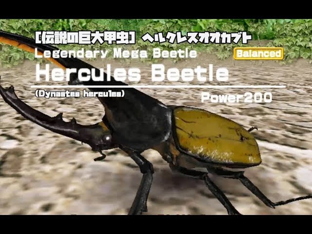 甲虫王者 ムシキング - 全カブト と クワガタの図鑑 [完全版2006