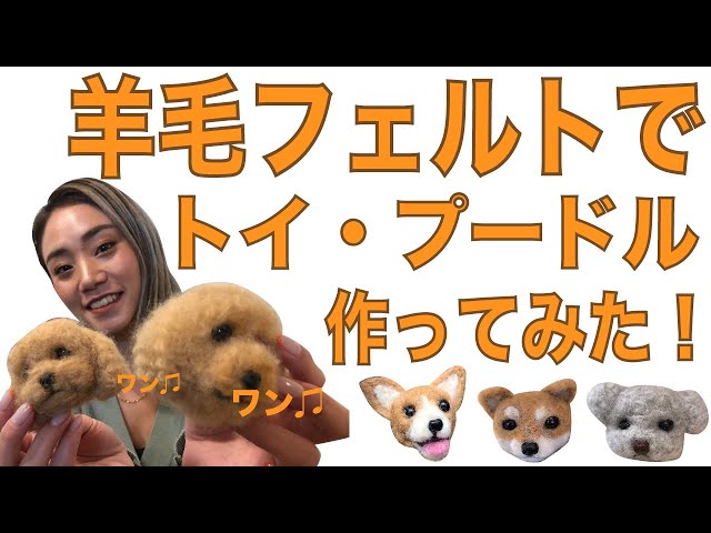 羊毛フェルト』トイ・プードル作ってみた！【ハンドメイド】 - YouTube