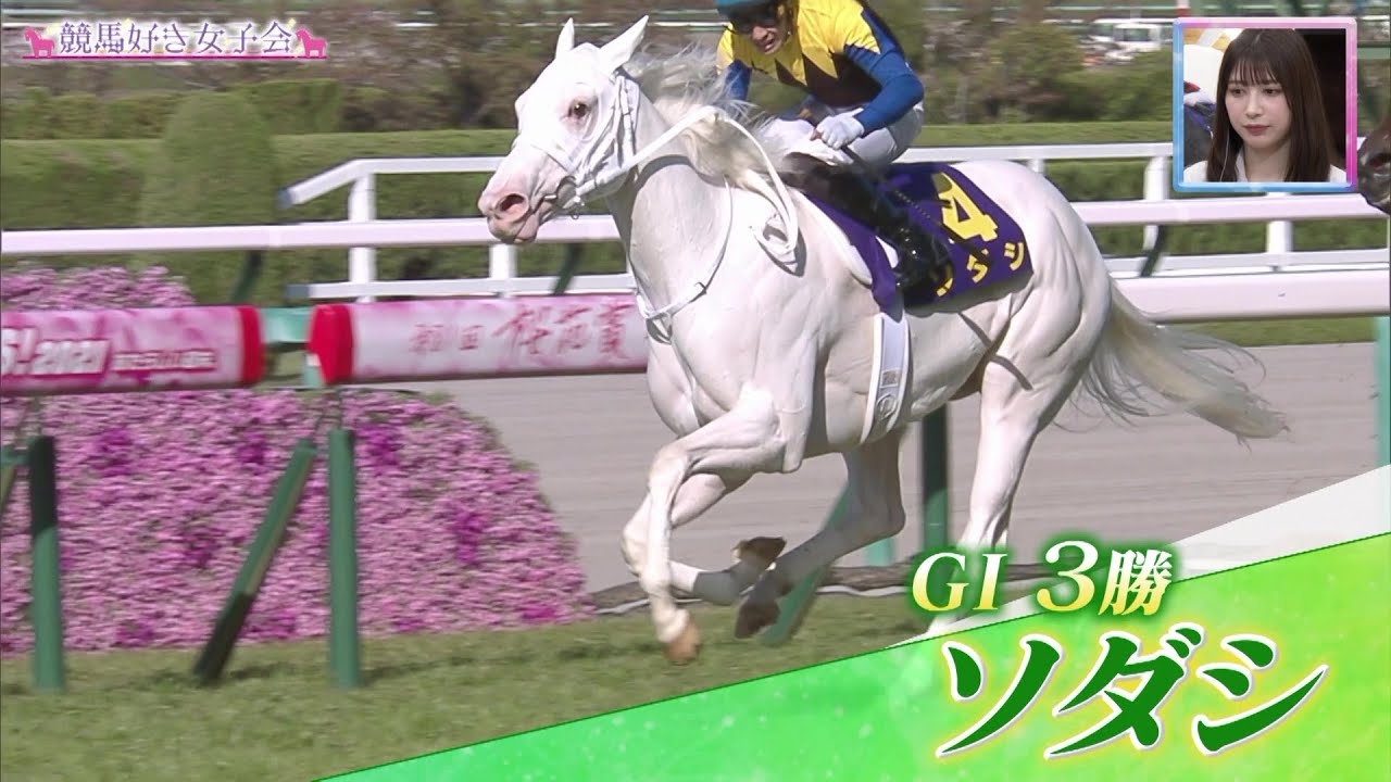 ソダシ】1万頭に1頭といわれる奇跡の白毛馬 人気絶大のアイドルホース