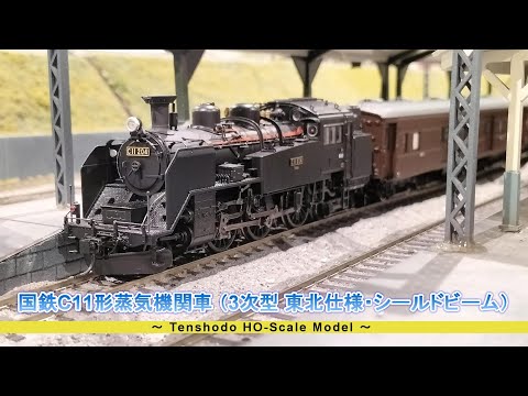 HO(16番)ゲージ鉄道模型】国鉄 C11形 蒸気機関車 （3次型 東北仕様