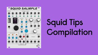ALM Busy Circuits Squid Salmple - Eurorack Module on ModularGrid