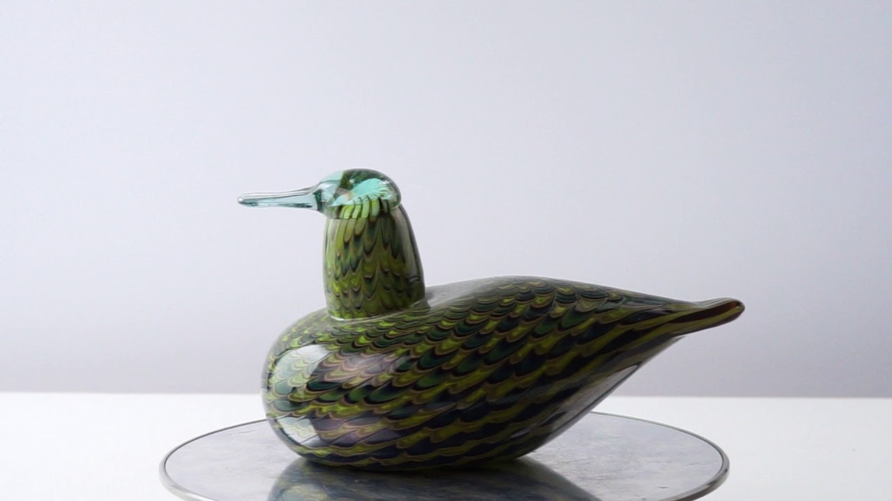 OIVA TOIKKA Bird Common Teal Female