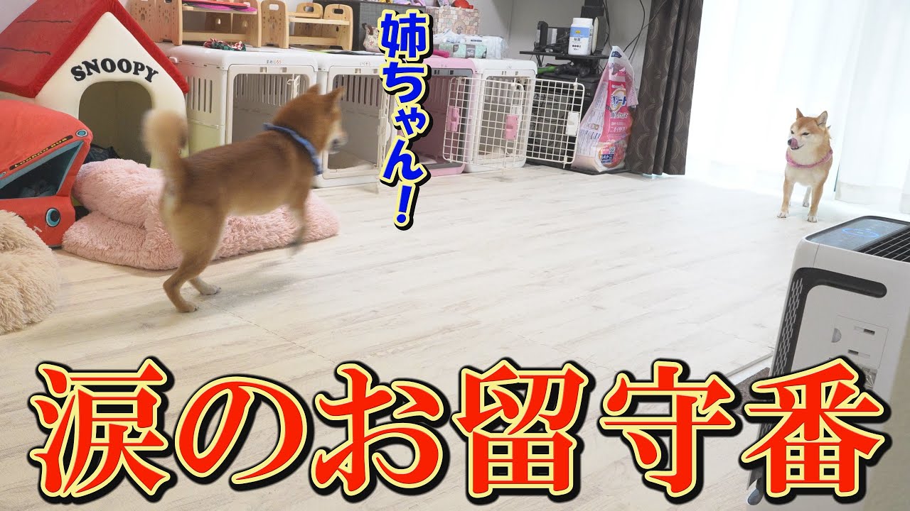 I was moved by the younger brother's concern for his older sister