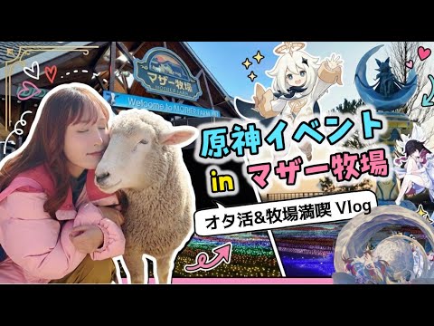 最高に楽しかった1日のVlog【原神】【コロンビーナ】 - YouTube
