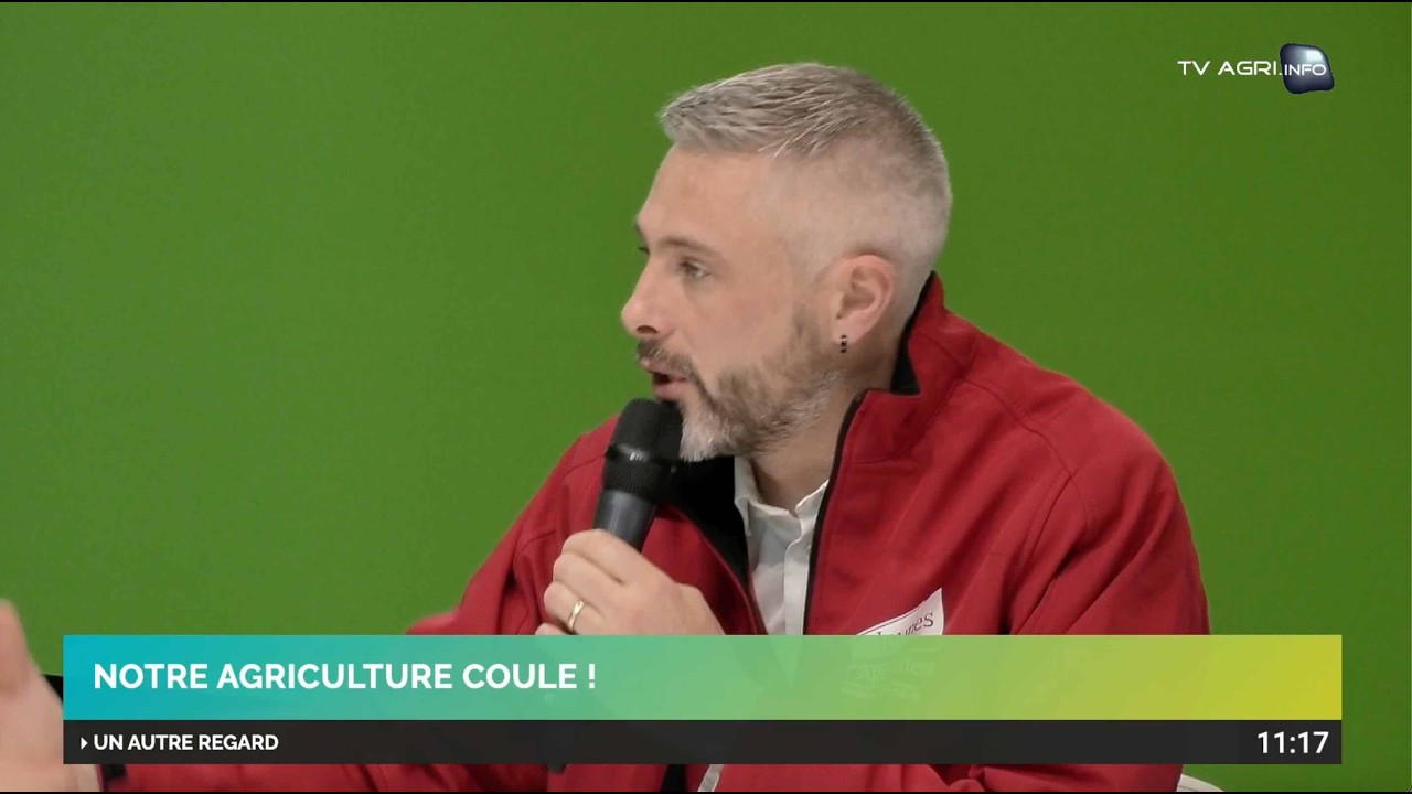 甲虫王者ムシキング スーパーコレクション - ミヤマクワガタ [スーパー