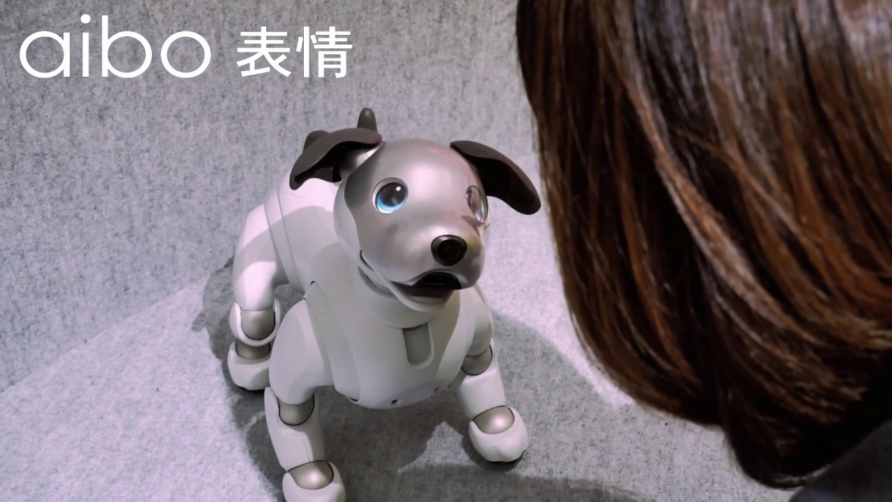 aibo動画まとめ】ソニー「aibo(アイボ)」を愛せるかな？ リアルだけど