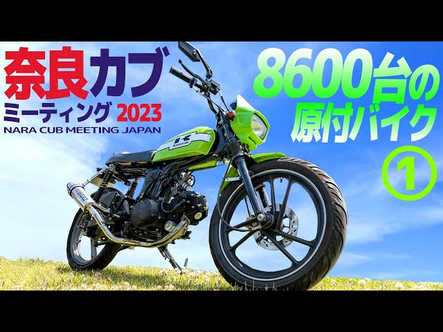 sddefault.jpg?v=6454f08f