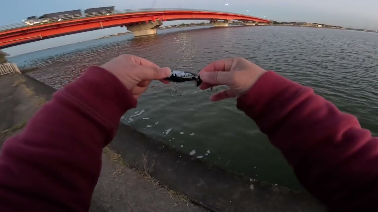 Bass fishing at Lake Kasumigaura today! Not just old models, but