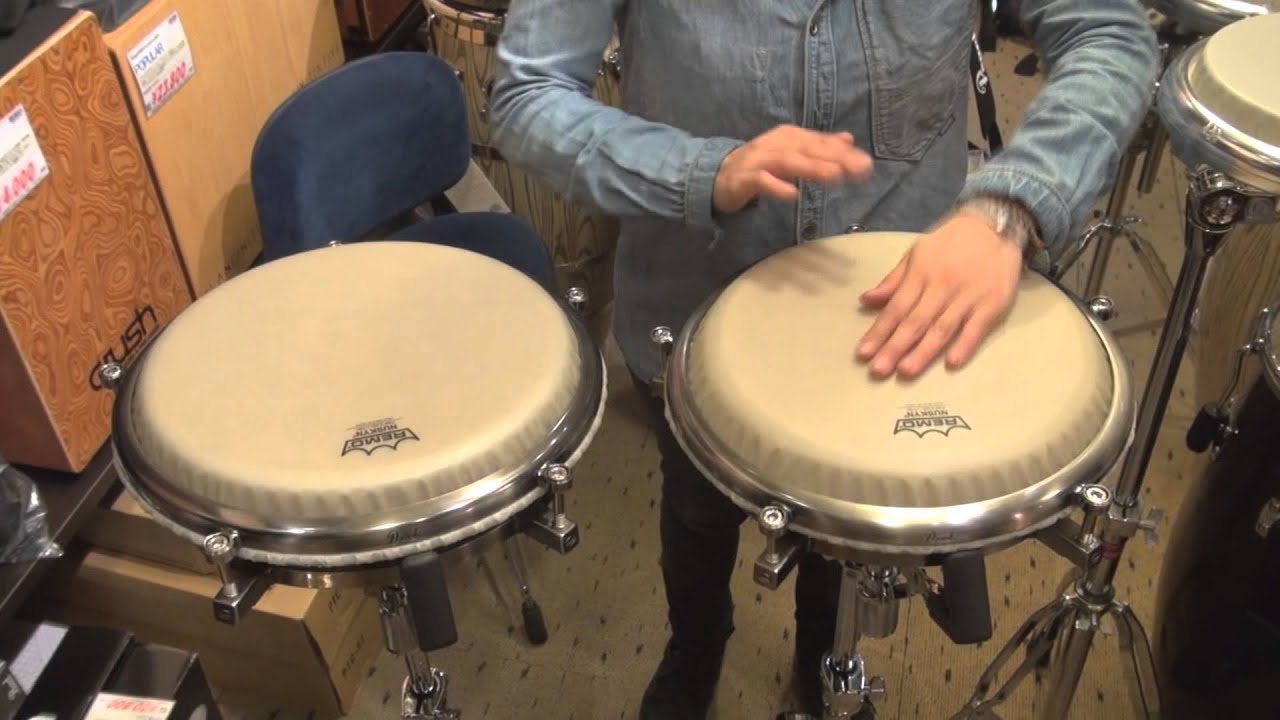 Pearl トラベルコンガ 【公式通販】