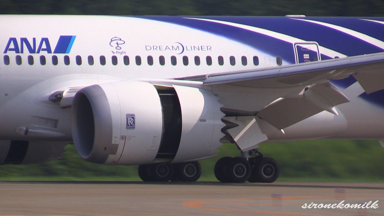 ANA All Nippon Airways Boeing 787-8 Dreamliner Special Paint