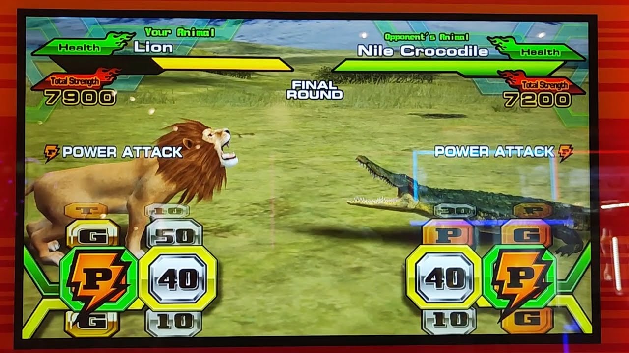 Animal Kaiser Plus - Gold Lion Gameplay｜Mufasa the Lion King