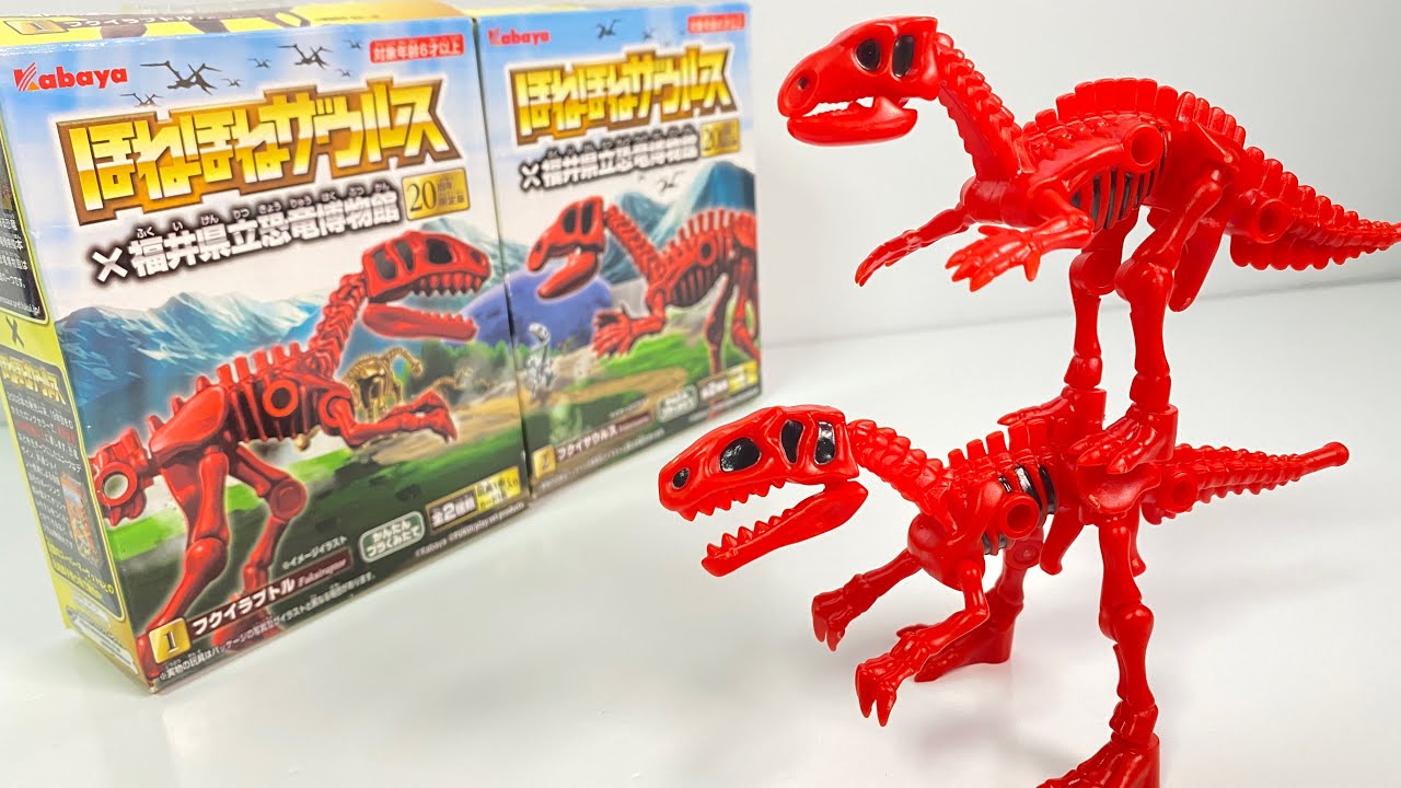 Honehone saurus Fukui Prefectural Dinosaur Museum 20th Anniversary