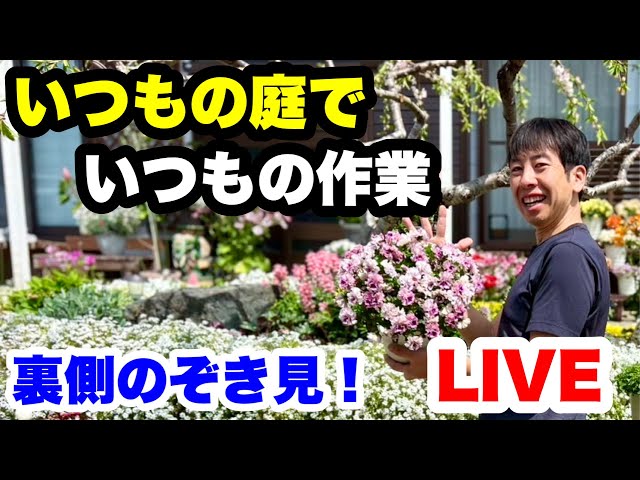 sddefault.jpg?v=67be8f45