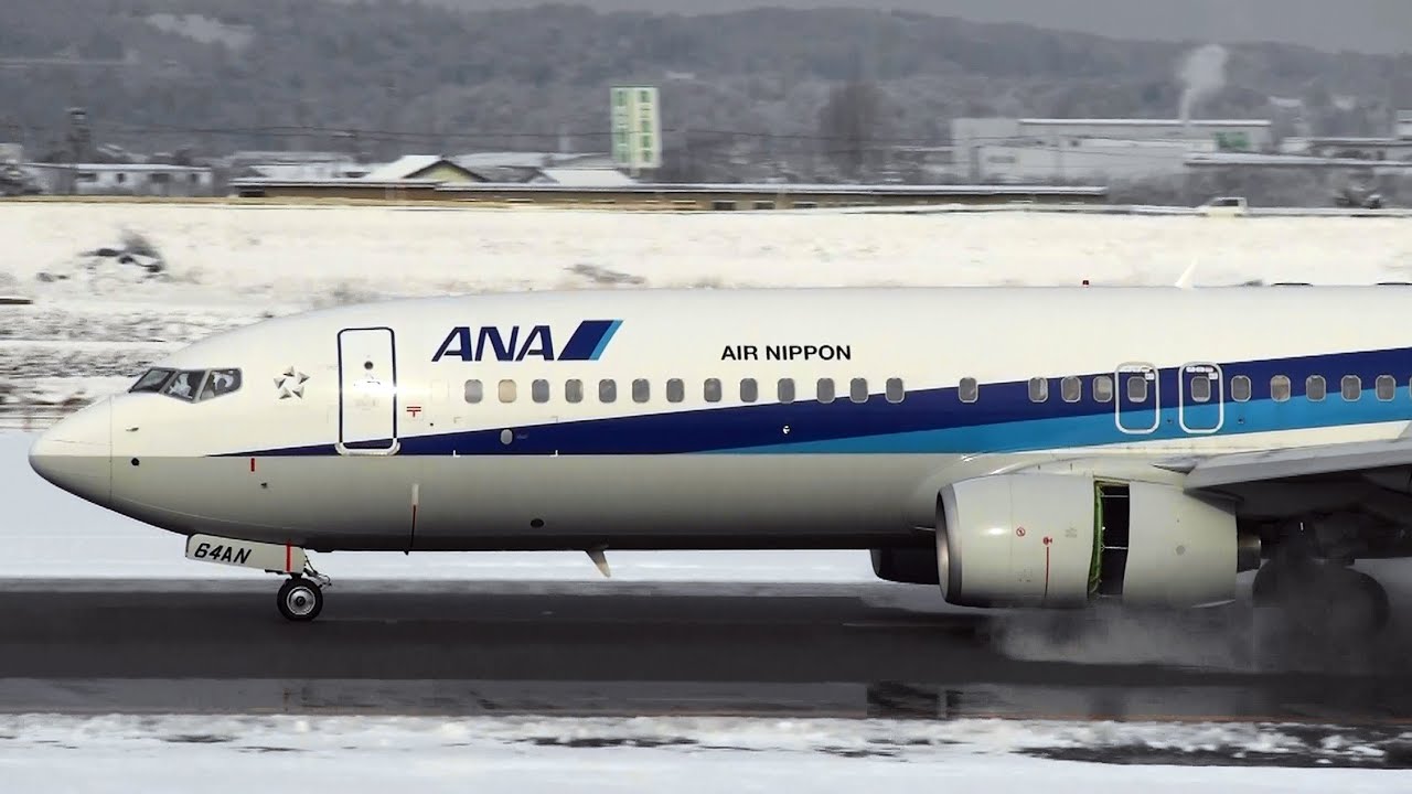B737 Reverse Thrust Spray] ANA Boeing 737-800 JA64AN LANDING