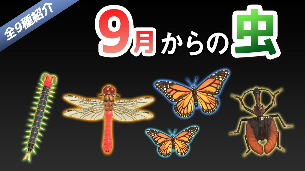 Animal Crossing: New Horizons] Introducing all the insects you can