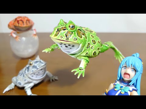 Finally, the Horned Frog is here!) Ikimono Encyclopedia Advanced